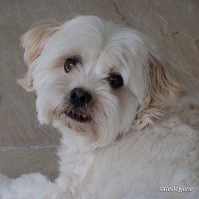 Treasure in the Flesh.