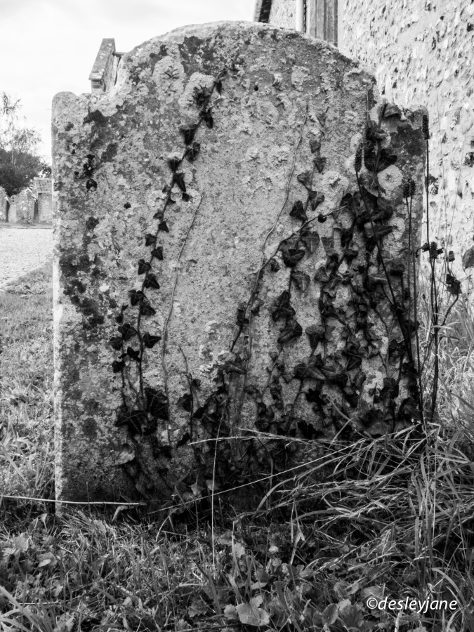Solo Headstone. 17mm f/22 1/50s ISO800
