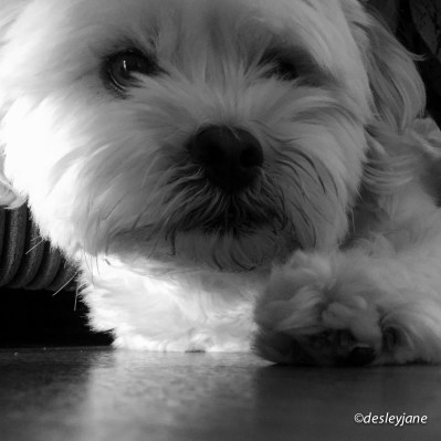 Cuddles with GG gets me going too!