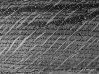 Justine's Eclectic Corner