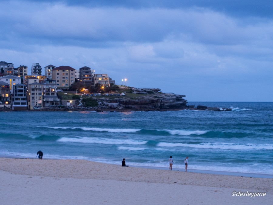Bondi by Night. 60mm f/4.0 1/5s ISO800