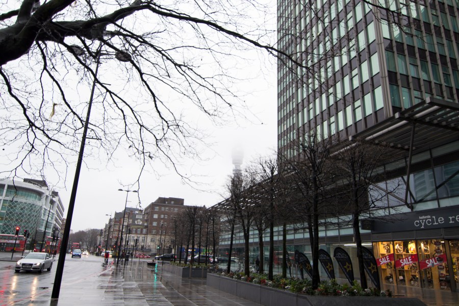 Manal Ali - original.