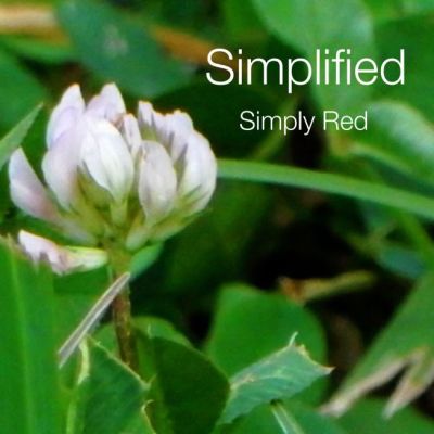simplified_beespeak
