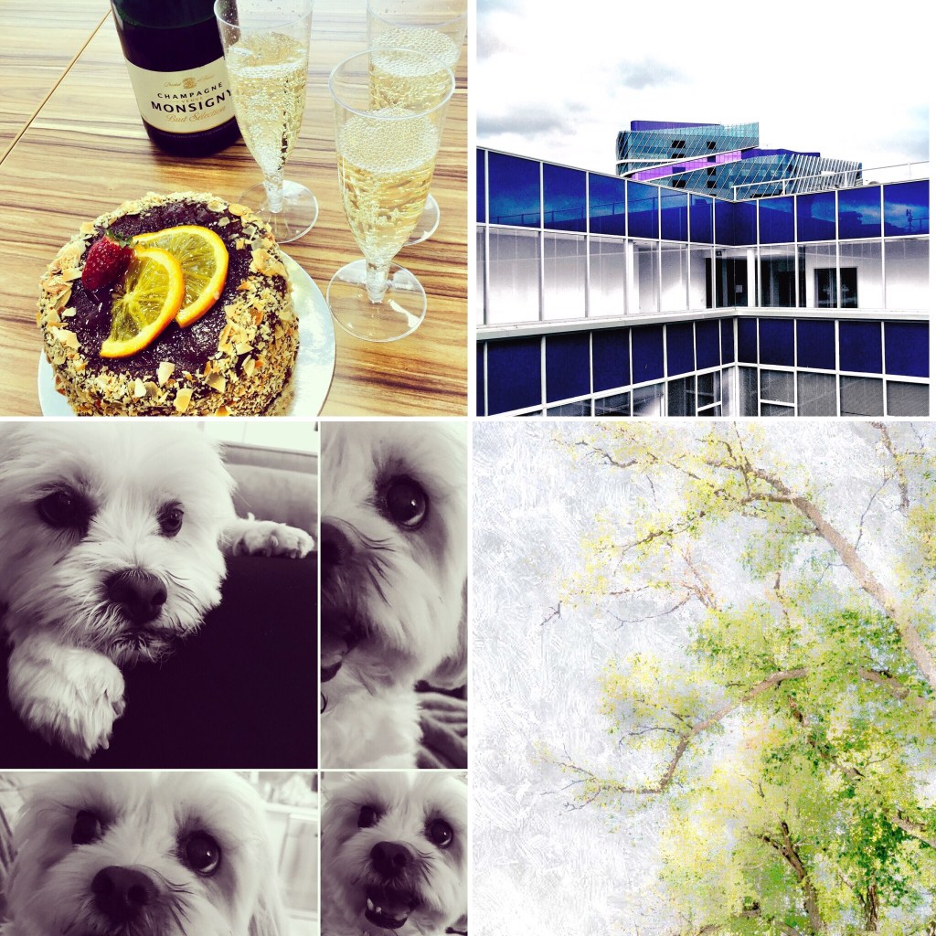 My Week on&nbsp;Instagram