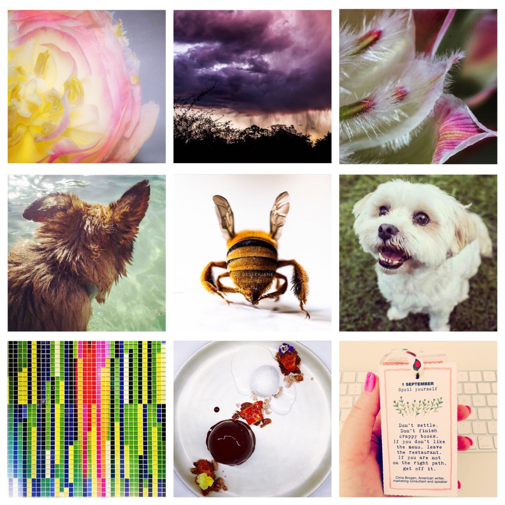 iPhriday – Instagram&nbsp;Catchup