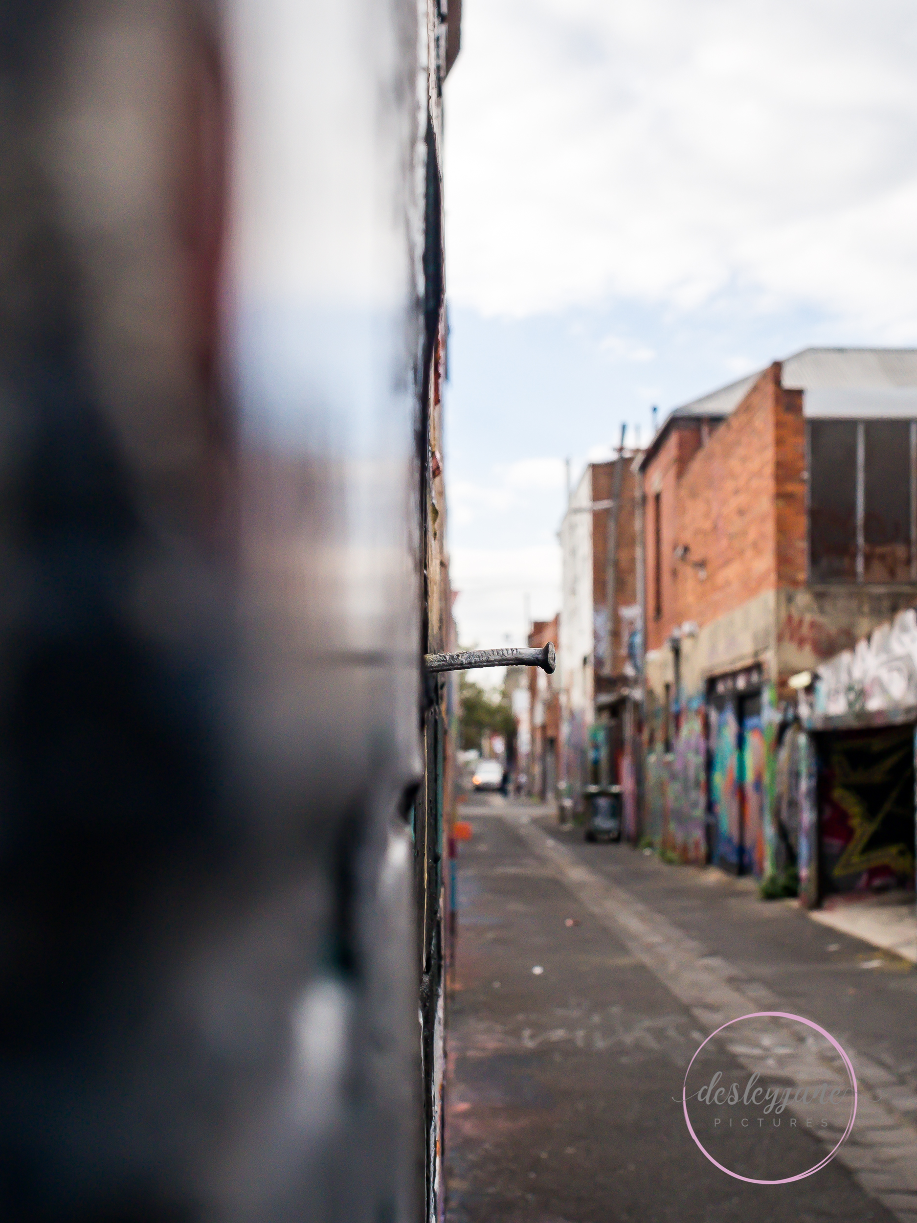 Fitzroy-14