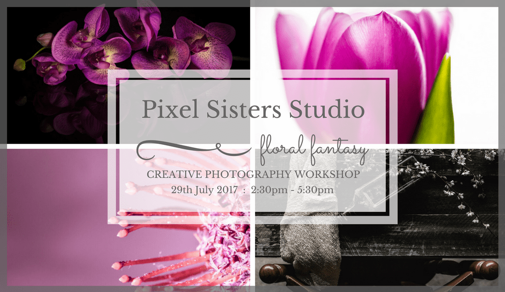 Pixel Sisters Studio-20170719FF