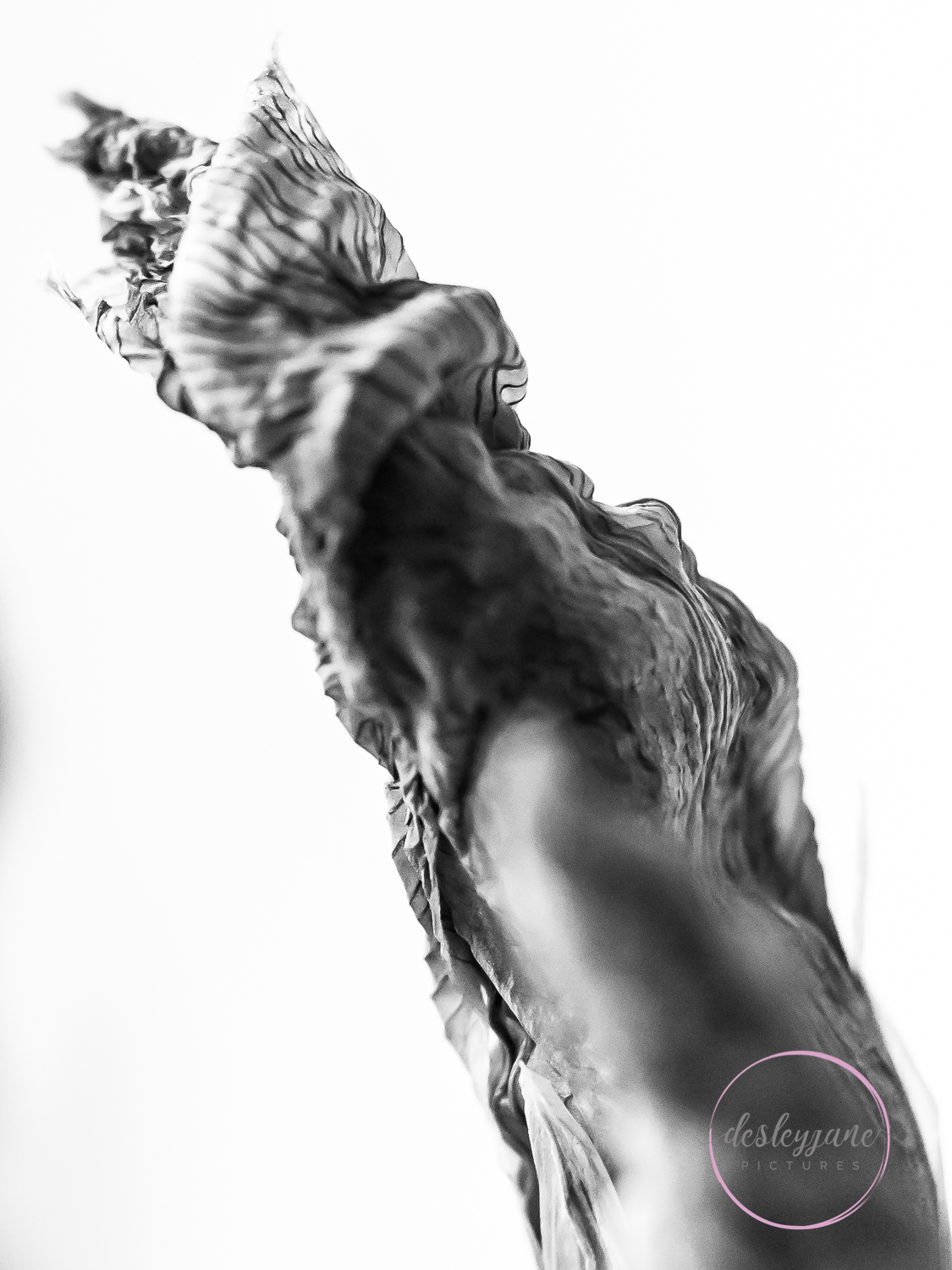 Lizzianthus&amp;Iris-18