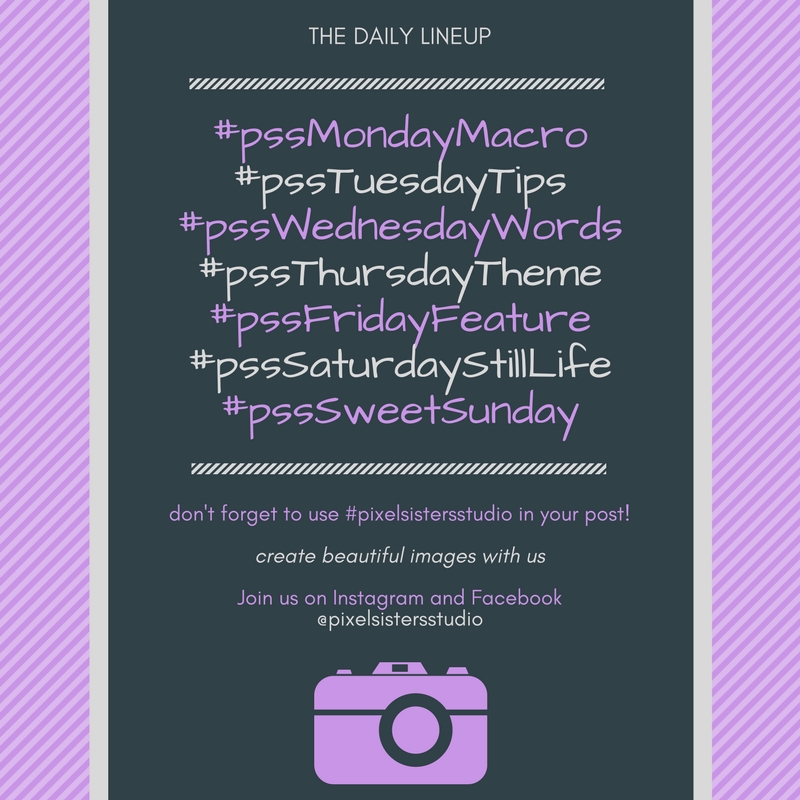 the daily lineup-4.jpg