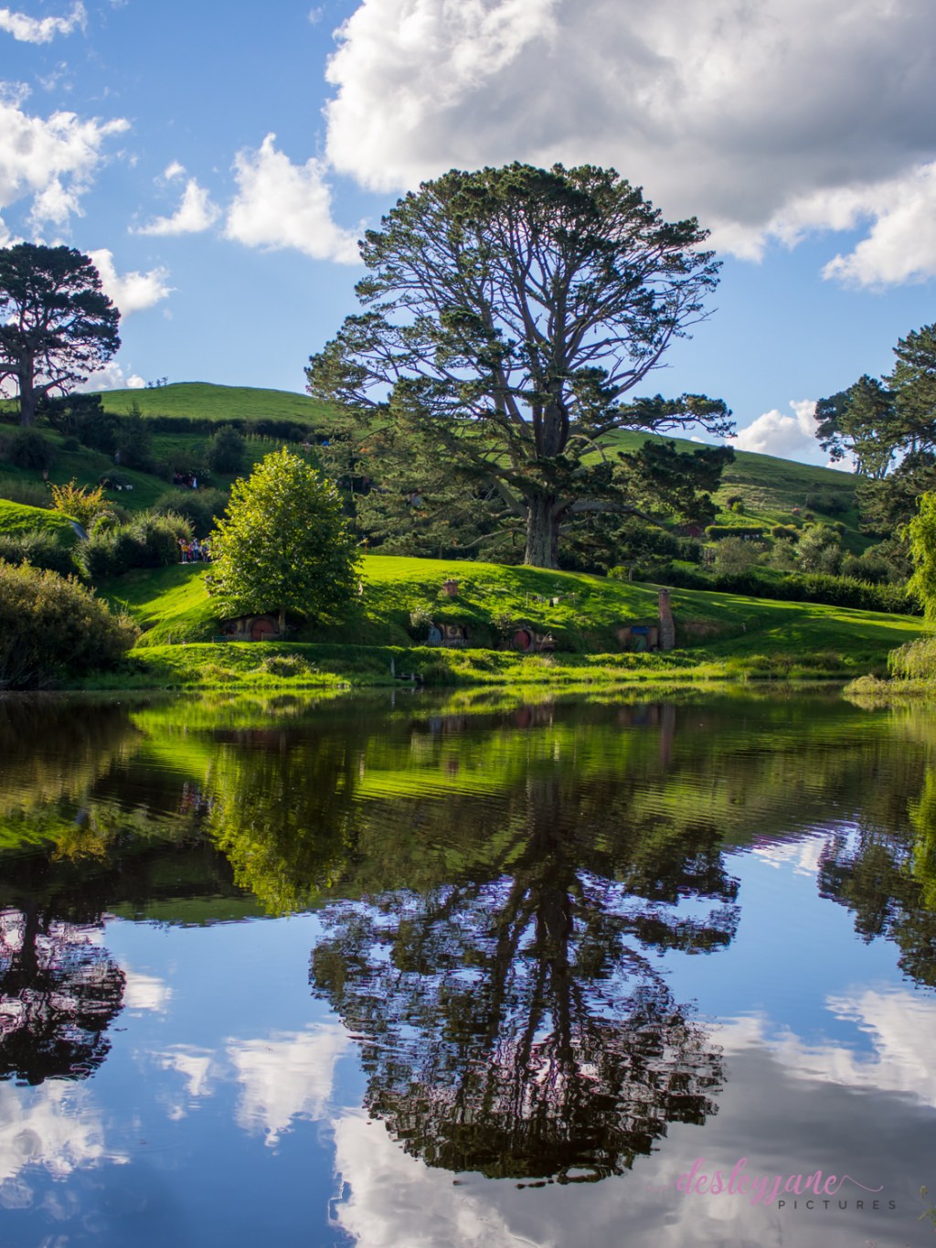 Reflections of the Auckland&nbsp;Region