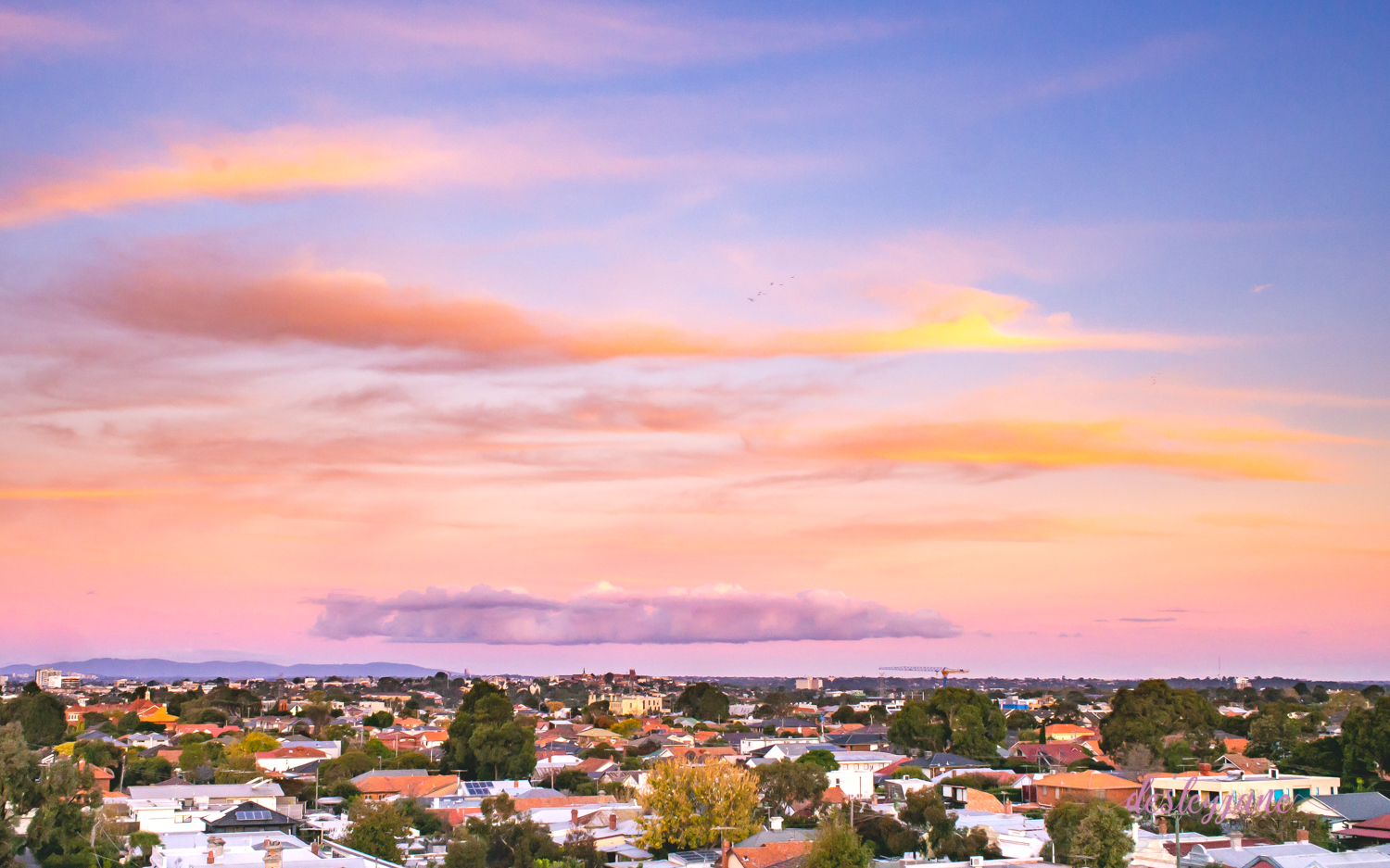 Pink Sunset Brunswick-1