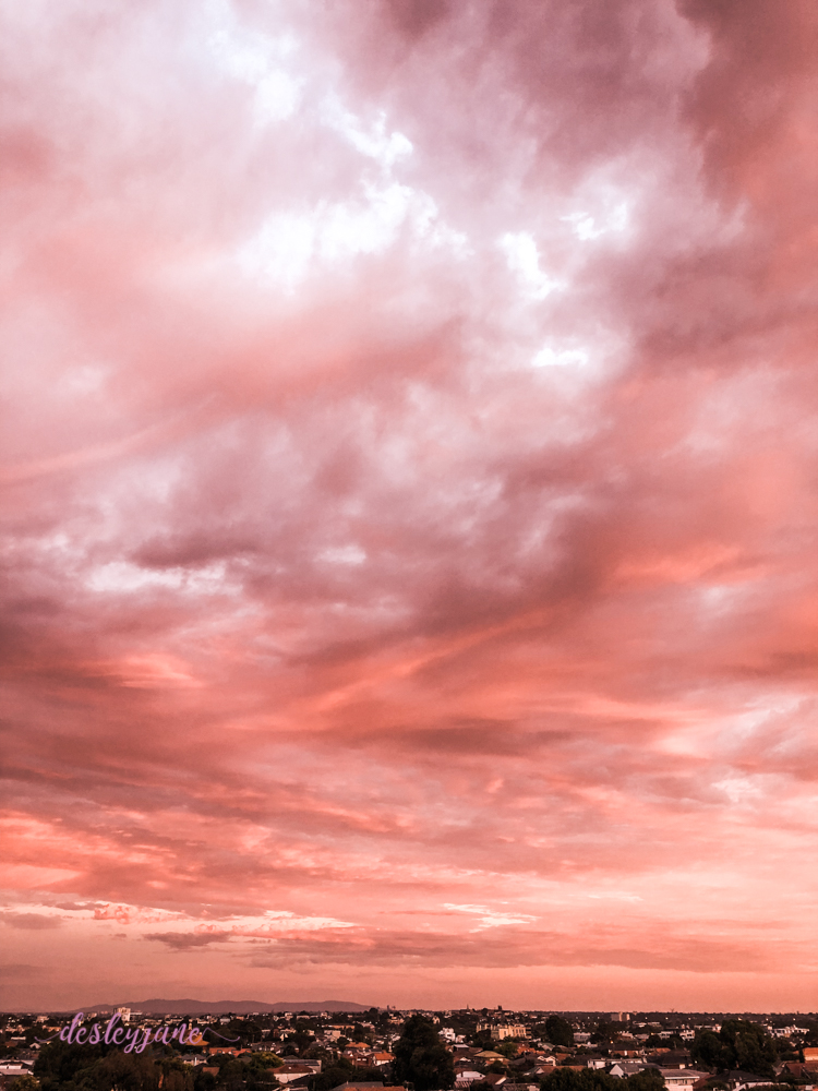 Pink Skies at Night – RegularRandom
