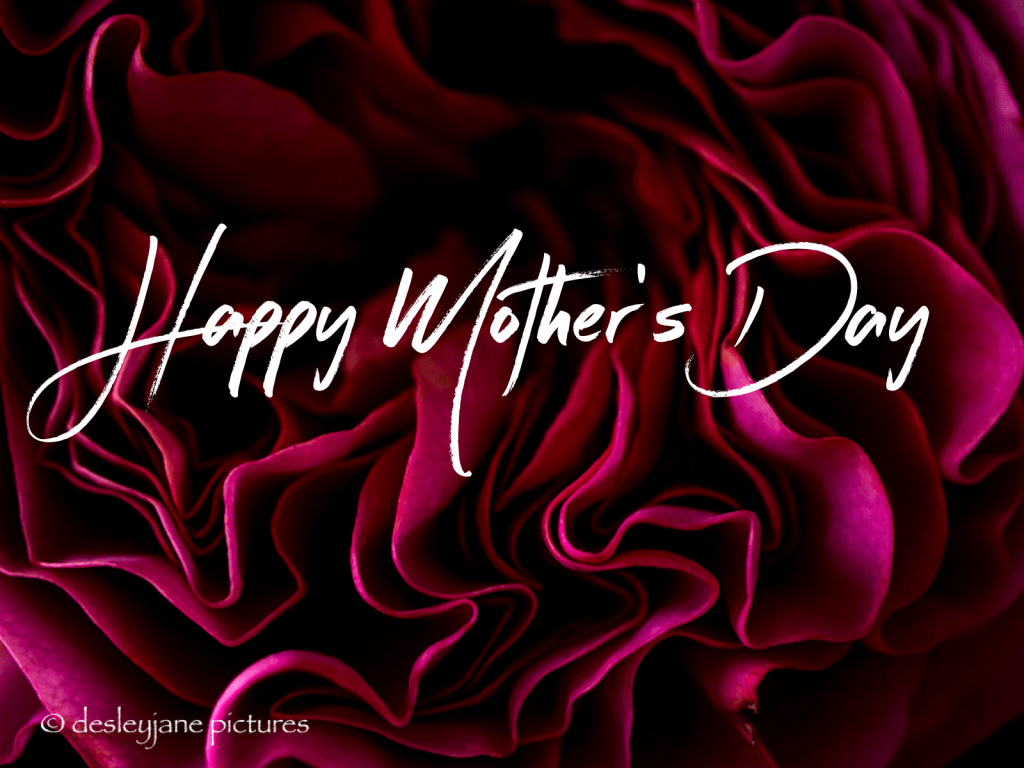 Happy Mother’s Day – Five Minutes with a Red Rose – RegularRandom